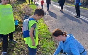 Sprzątanie świata (12)