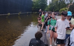 Siódmo i ósmoklasiści w trakcie zwiedzania Wrocławia (1)