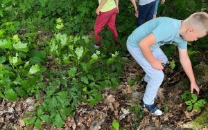 Dzień Pustej Klasy - nauka na łonie natury (6)
