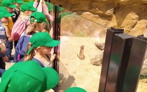 Wycieczka do ZOO (10)