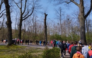 Społeczność szkolna w trakcie obchodów świat majowych (4)